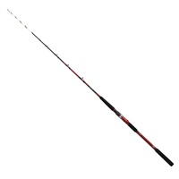 24アナリスター　イカ直結